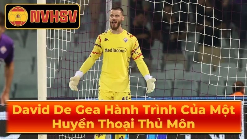 Thông Tin về Thủ Môn David De Gea