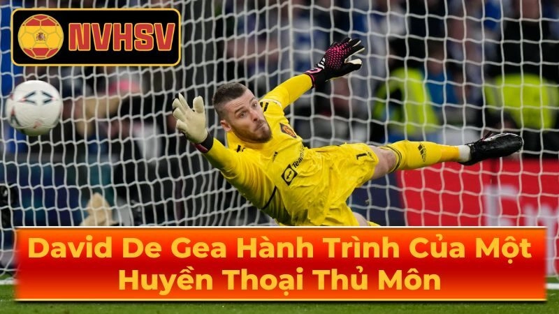 Sự Nghiệp Quốc Tế Đáng Nể Của David De Gea