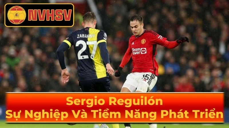 Sự Nghiệp Đội Tuyển Quốc Gia Của Sergio Reguilón