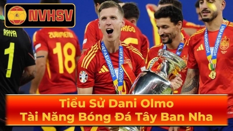 Sự nghiệp quốc tế Dani Olmo